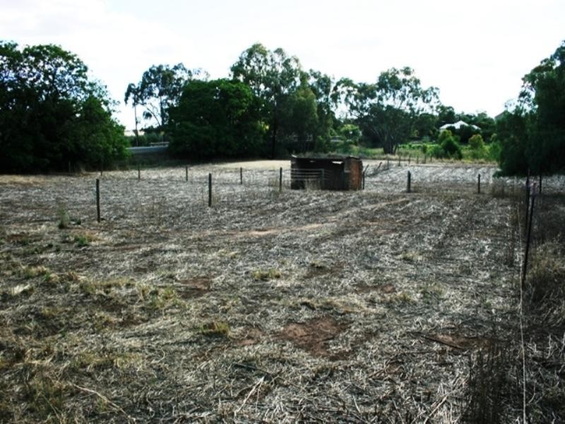 Lot 98 Elder Street, Auburn SA 5451