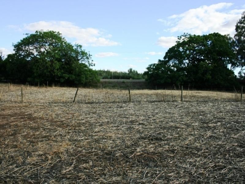 Lot 98 Elder Street, Auburn SA 5451