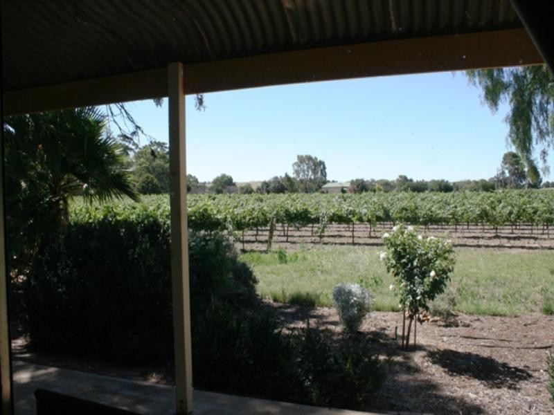 Sec 55 Government Road, Stanley Flat SA 5453