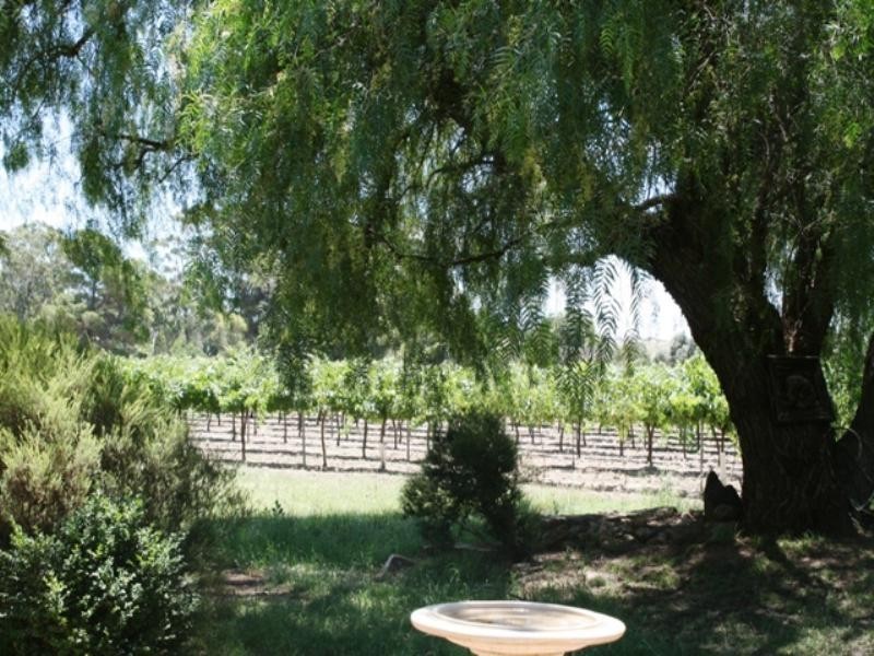 Sec 55 Government Road, Stanley Flat SA 5453