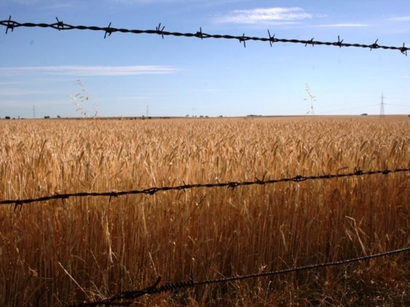 Lots 3-7 Fyfe Road, Hamley Bridge SA 5401