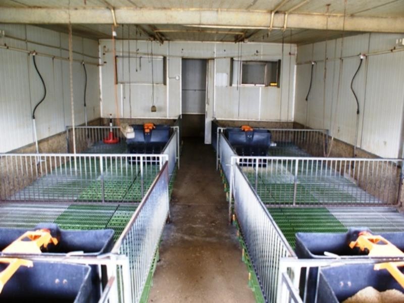 Yelmah Piggery Fyfe Road, Hamley Bridge SA 5401