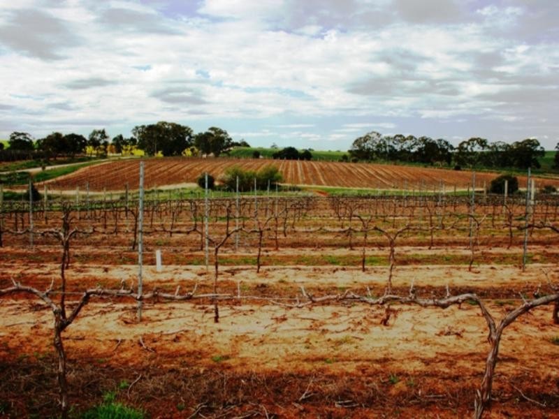 PC 20 and 21 Catholic Church Road, Mintaro SA 5415