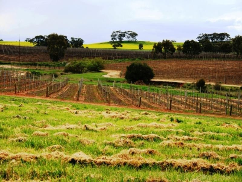 PC 20 and 21 Catholic Church Road, Mintaro SA 5415