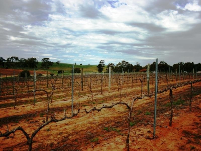 PC 20 and 21 Catholic Church Road, Mintaro SA 5415