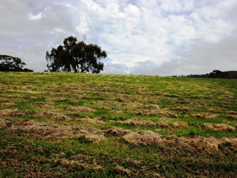 PC 20 and 21 Catholic Church Road, Mintaro SA 5415