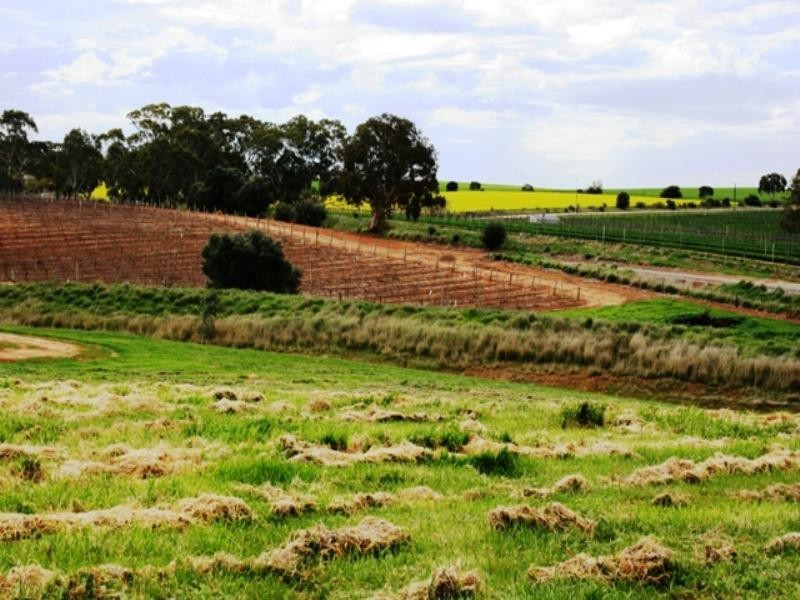 PC 20 and 21 Catholic Church Road, Mintaro SA 5415