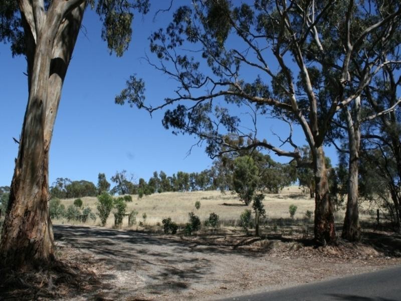 41 White Hut Road, Clare SA 5453