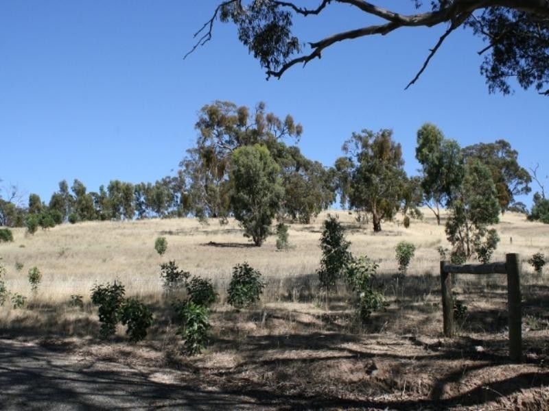 41 White Hut Road, Clare SA 5453