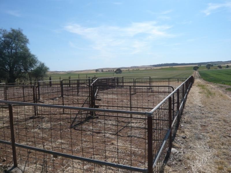 Secs on Pipeline and Soldiers Roads, Yacka SA 5470