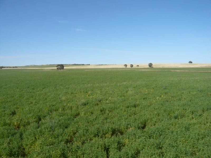 Secs on Pipeline and Soldiers Roads, Yacka SA 5470