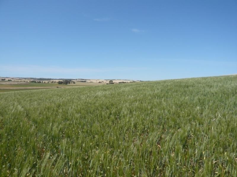 Secs on Pipeline and Soldiers Roads, Yacka SA 5470