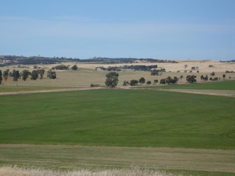 Secs on Pipeline and Soldiers Roads, Yacka SA 5470