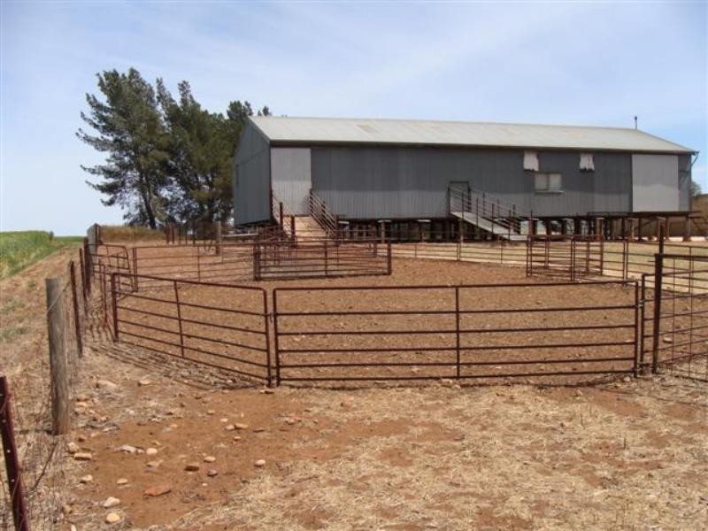 Secs on Pipeline and Soldiers Roads, Yacka SA 5470