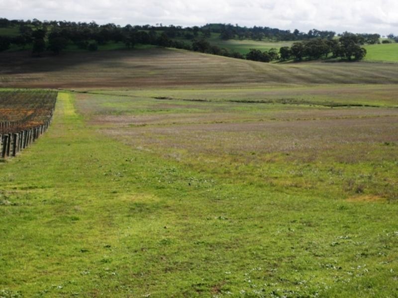 Lot 4 Government Road, Rhynie SA 5412