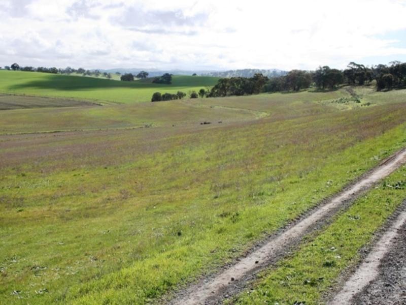 Lot 4 Government Road, Rhynie SA 5412