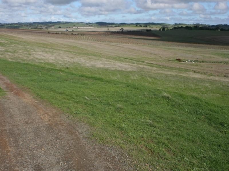 Lot 4 Government Road, Rhynie SA 5412