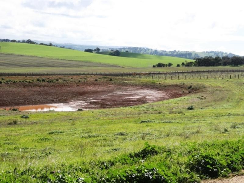 Lot 4 Government Road, Rhynie SA 5412