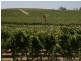 Corner Quarry Road and Spring Farm Road, Clare SA 5453