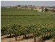 Corner Quarry Road and Spring Farm Road, Clare SA 5453