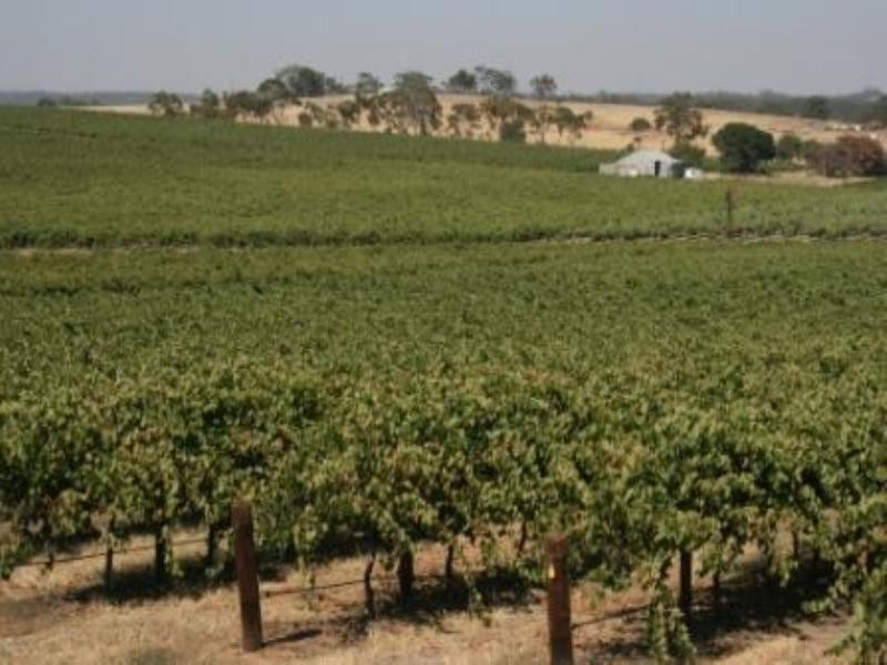 Corner Quarry Road and Spring Farm Road, Clare SA 5453