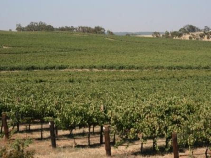 Corner Quarry Road and Spring Farm Road, Clare SA 5453