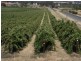 Corner Quarry Road and Spring Farm Road, Clare SA 5453