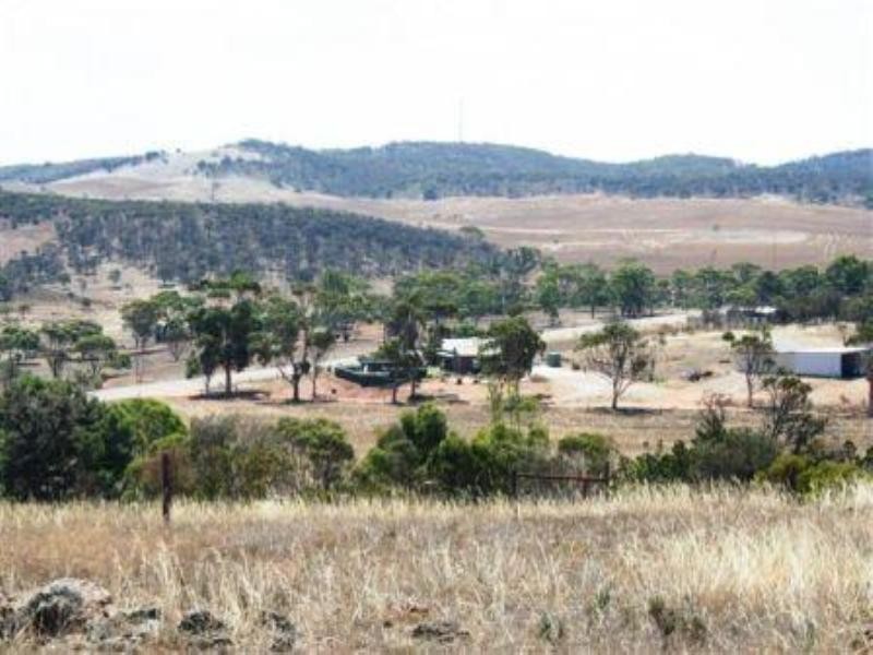 Lot 1 Cowelly Road, Cleve SA 5640