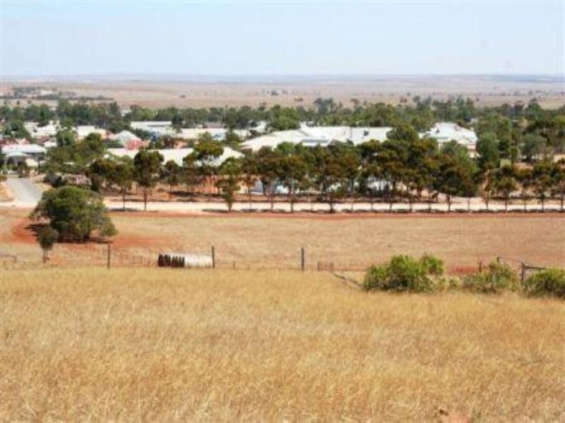 Lot 1 Cowelly Road, Cleve SA 5640