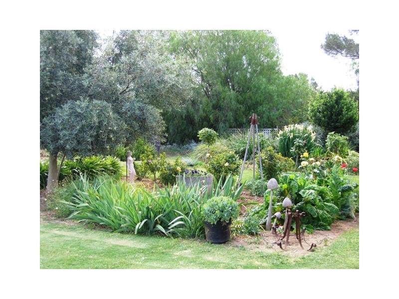 Kookaburra Farm, Burra SA 5417