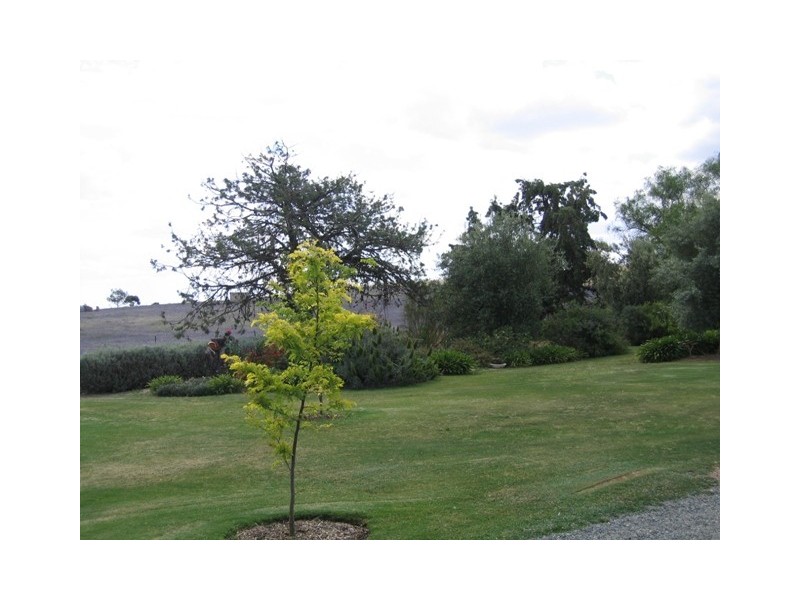 Kookaburra Farm, Burra SA 5417