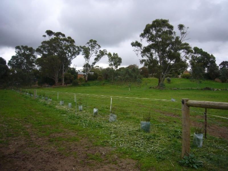 Lot 105 Church Street, Mintaro SA 5415