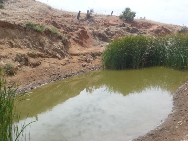 “Chloes” Wandilla Road, Burra SA 5417