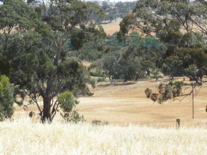 Lt 26 Hill Court, Clare SA 5453