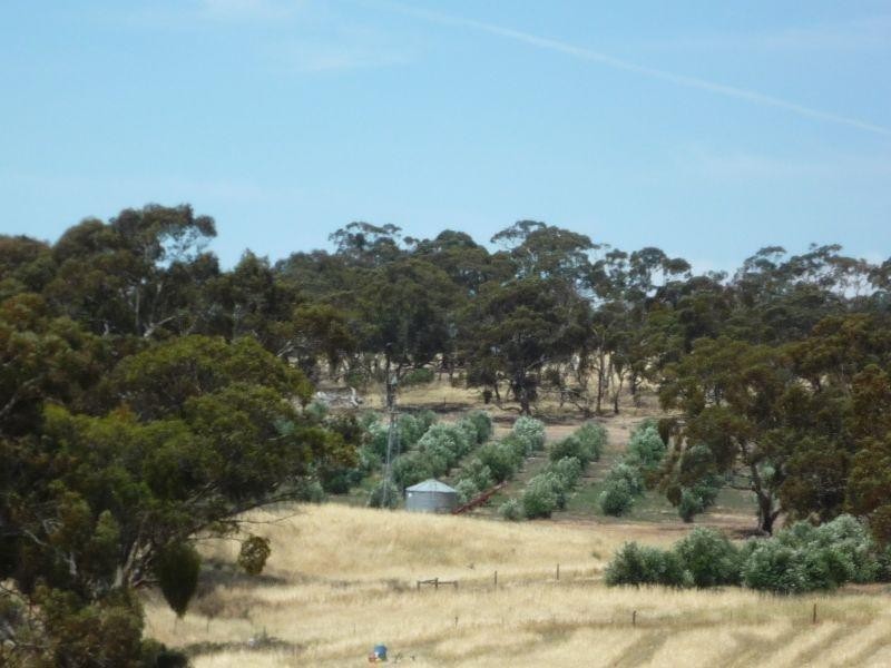 Lt 26 Hill Court, Clare SA 5453