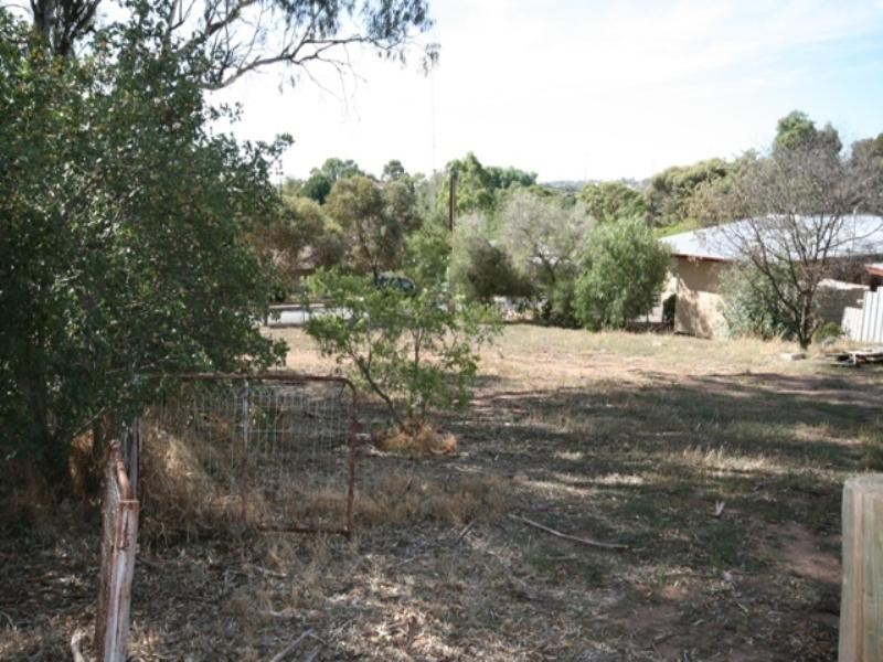 36 Daly Street, Clare SA 5453