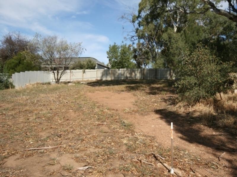 36 Daly Street, Clare SA 5453