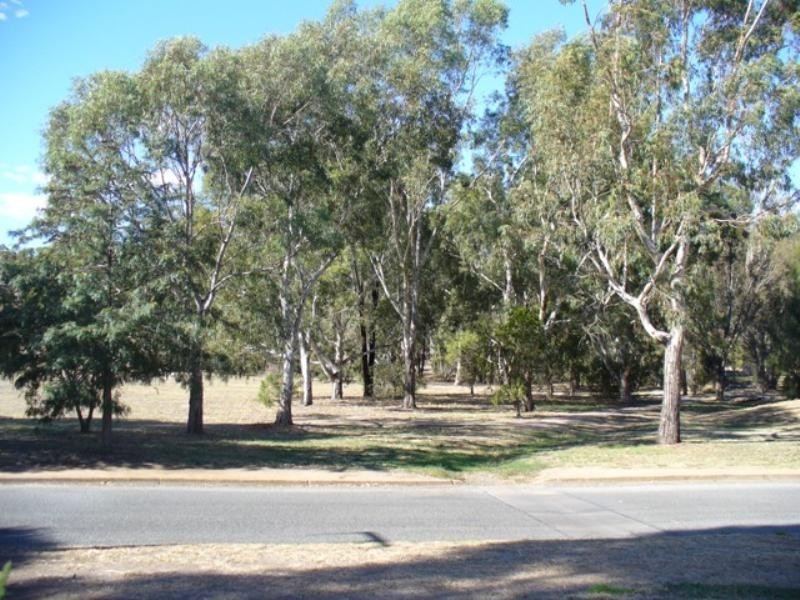 1 Phoenix Avenue, Clare SA 5453