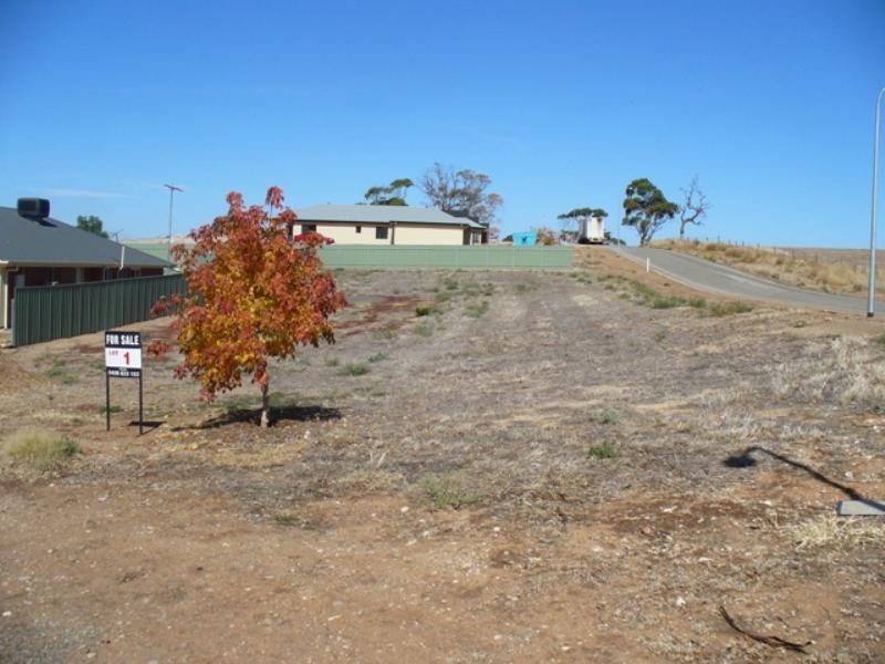 Lots on Henry and King Willian Street, Auburn SA 5451