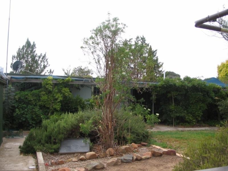 20 Geddes Avenue, Clare SA 5453