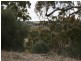 Lot 16 Craig Hill Road, Clare SA 5453