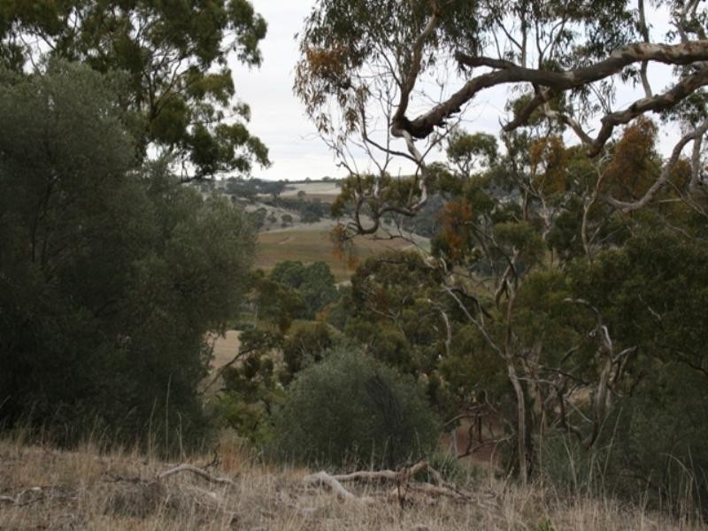 Lot 16 Craig Hill Road, Clare SA 5453