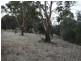 Lot 16 Craig Hill Road, Clare SA 5453