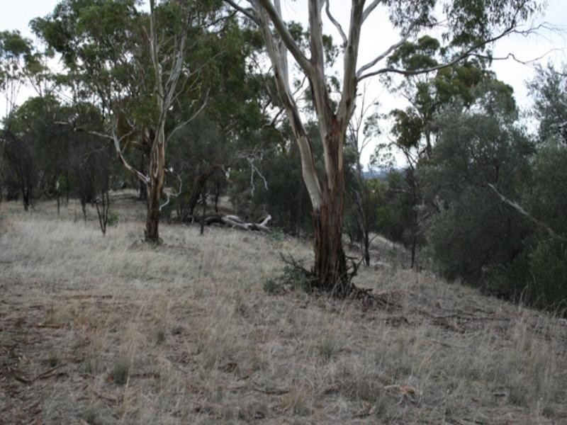 Lot 16 Craig Hill Road, Clare SA 5453