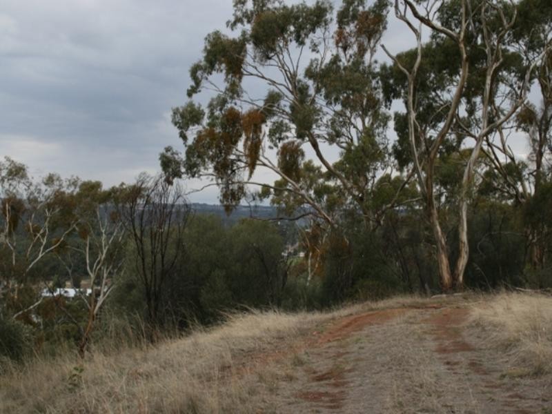 Lot 16 Craig Hill Road, Clare SA 5453