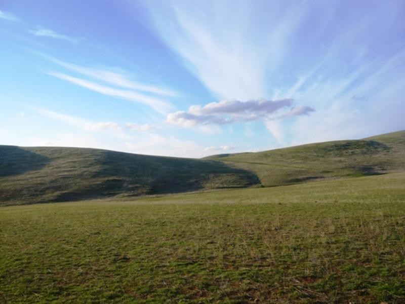 “Koonoona” Springbank Road, Burra SA 5417