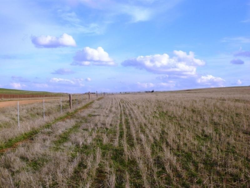 “Koonoona” Springbank Road, Burra SA 5417