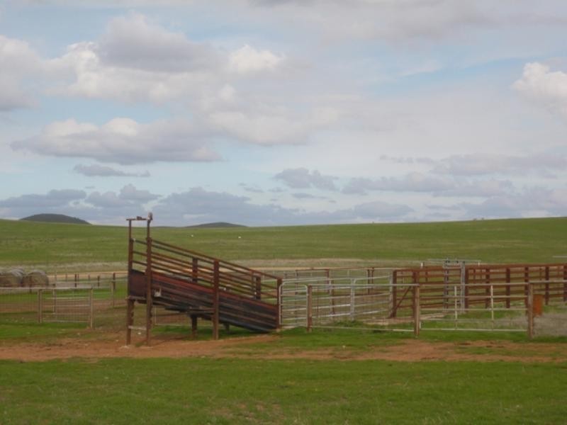 “Koonoona” Springbank Road, Burra SA 5417