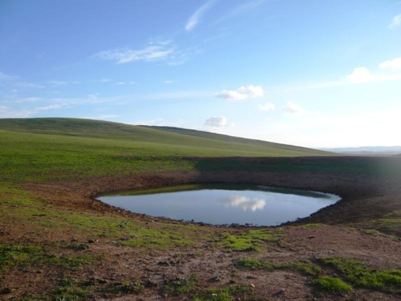 “Koonoona” Springbank Road, Burra SA 5417