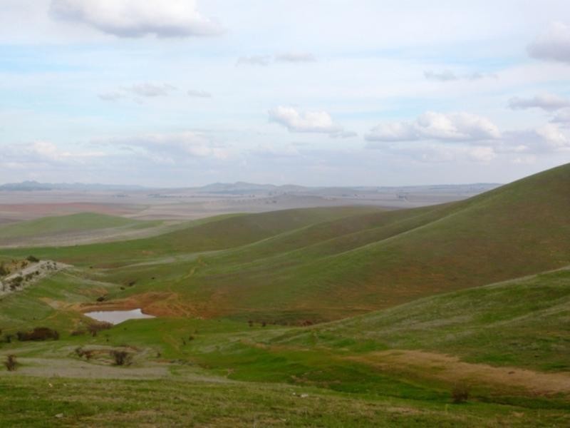 “Koonoona” Springbank Road, Burra SA 5417